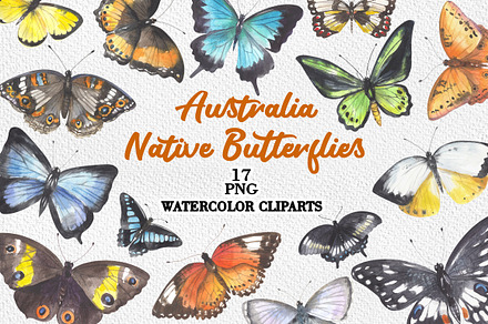 Australia Native Butterflies