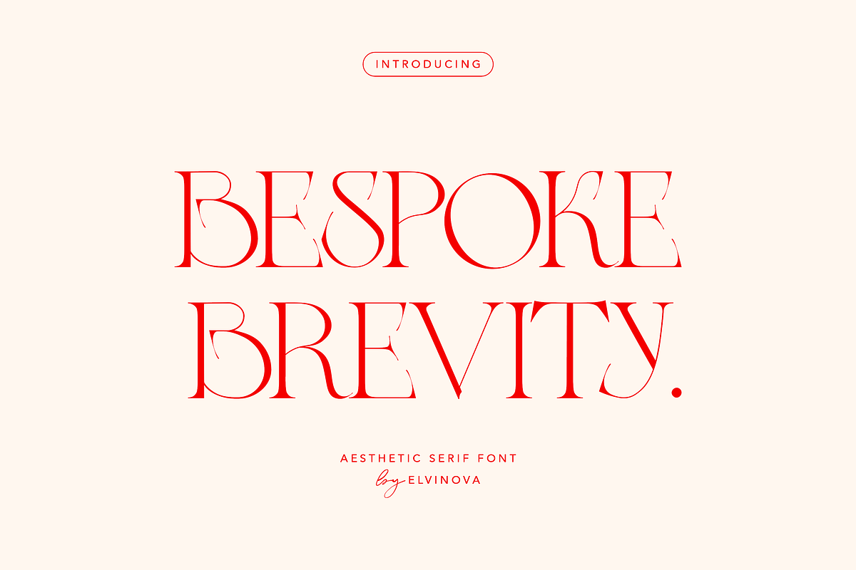 Bespoke Brevity | Modern Serif, a Serif Font by elvinova (Photo 1 of 8)