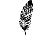 Feather SVG Bundle, an Object Graphic by Designer_Momina (Thumbnail 17 of 18)