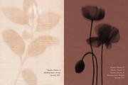 Shadow Blooms, an Object Graphic by Dina Mae (Thumbnail 3 of 10)