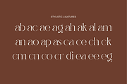 Abask - Modern Ligatures Font, a Serif Font by Nirmana Visual (Thumbnail 4 of 12)