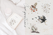 Stranger Forest Collection, an Animal Illustration by Julia Dreams (Thumbnail 8 of 12)