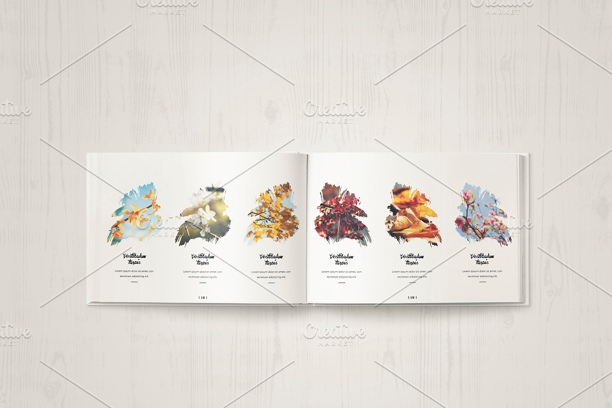 Multipurpose Portfolio Brochure, a Brochure Template by ShapShapy (Photo 12 of 17)