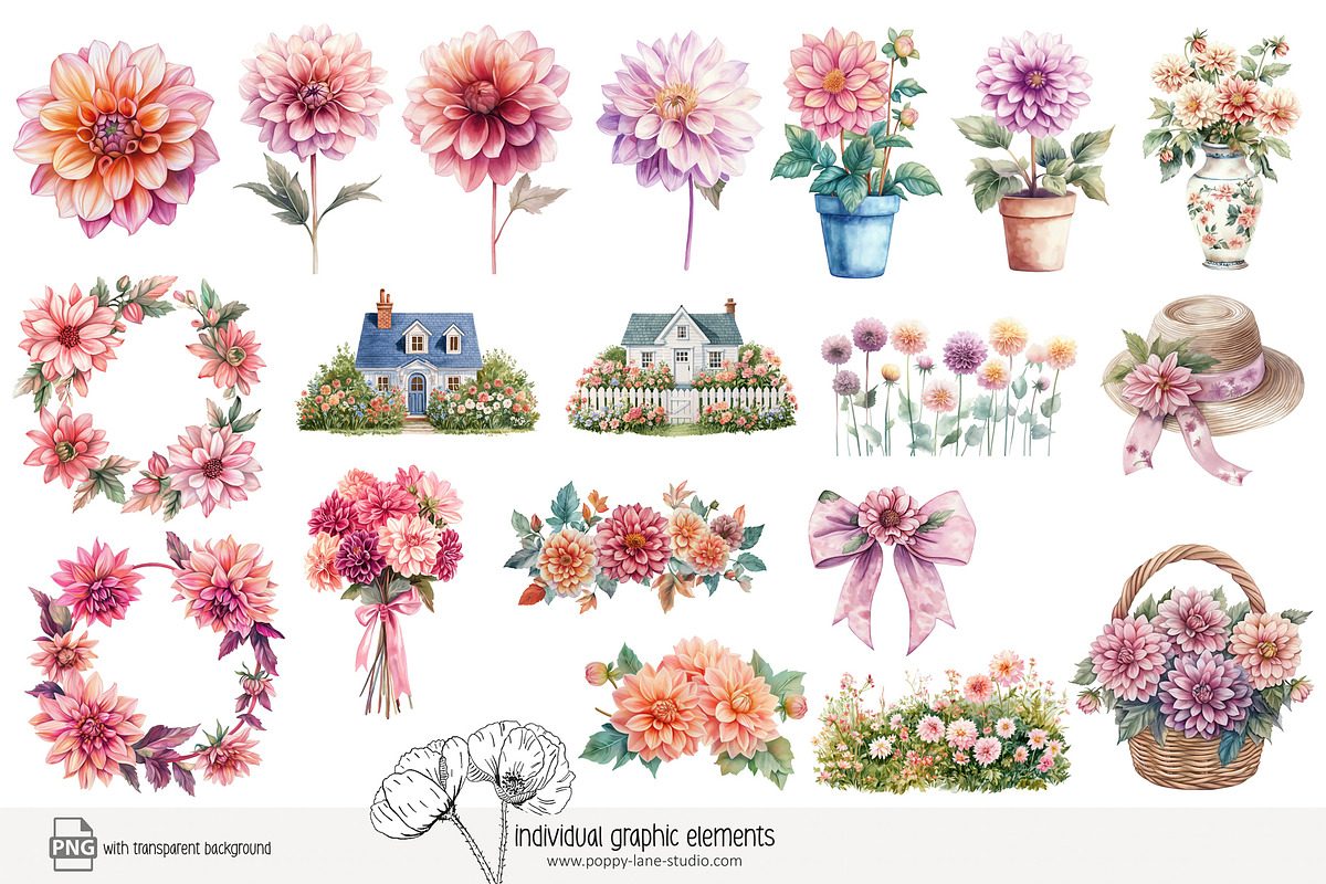 100 watercolour dahlia clip art, a Seasonal Illustration by Poppy Lane Studio (Photo 6 of 12)