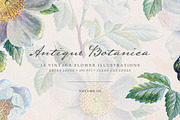 Vintage Flowers Vol.03 - Extra Large, an Illustration by Greta Ivy (Thumbnail 1 of 15)