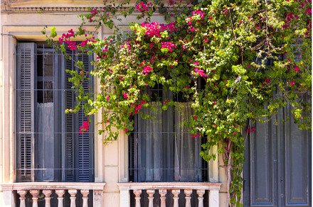 Uruguay, Montevideo streets and, an Architecture Photo by Web Engine Design