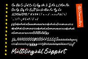 Sound Seekers Rough Brush Script, a Handwritten Font by AmorfaType (Thumbnail 8 of 8)