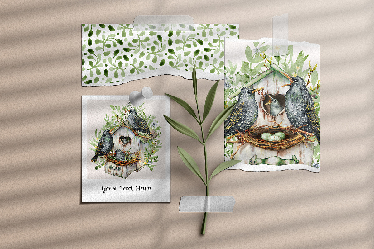 Starling family, spring bird, plants, an Animal Illustration by Artmanata (Photo 9 of 16)