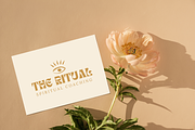 Canva Premade Brand Kit, a Graphic by Liseno Designs (Thumbnail 5 of 6)