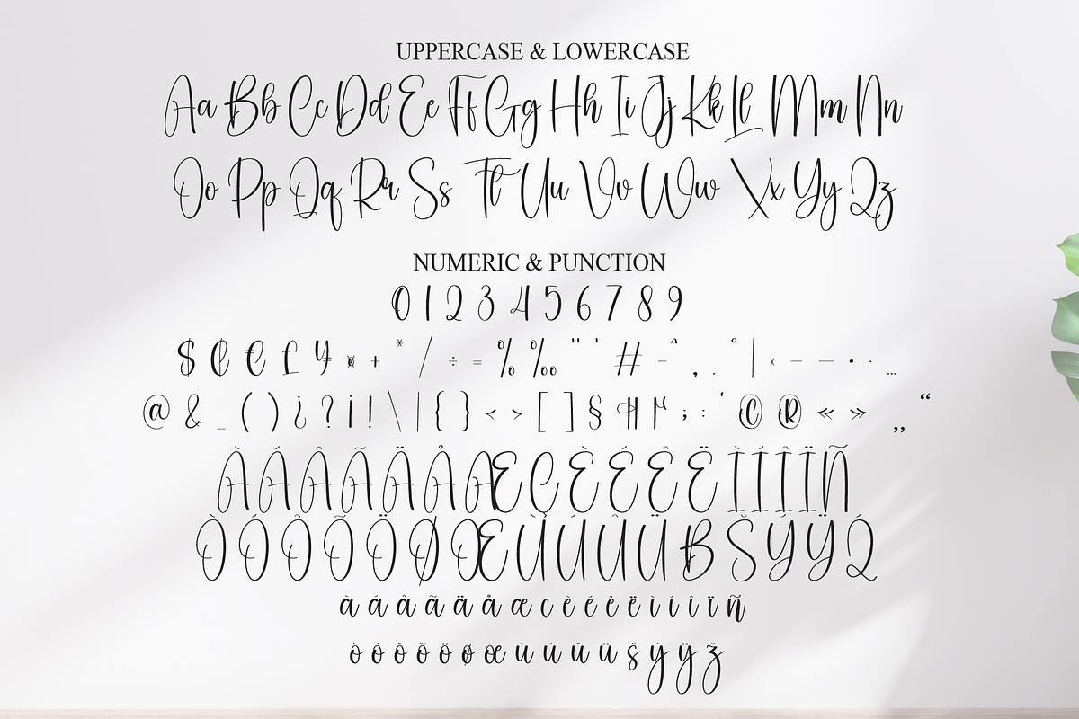 Sometimes | Script Font, a Handwritten Font by Scratchones (Photo 7 of 9)