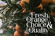 Syailendra - Modern Serif With Tail, a Serif Font by Khoir (Thumbnail 3 of 16)