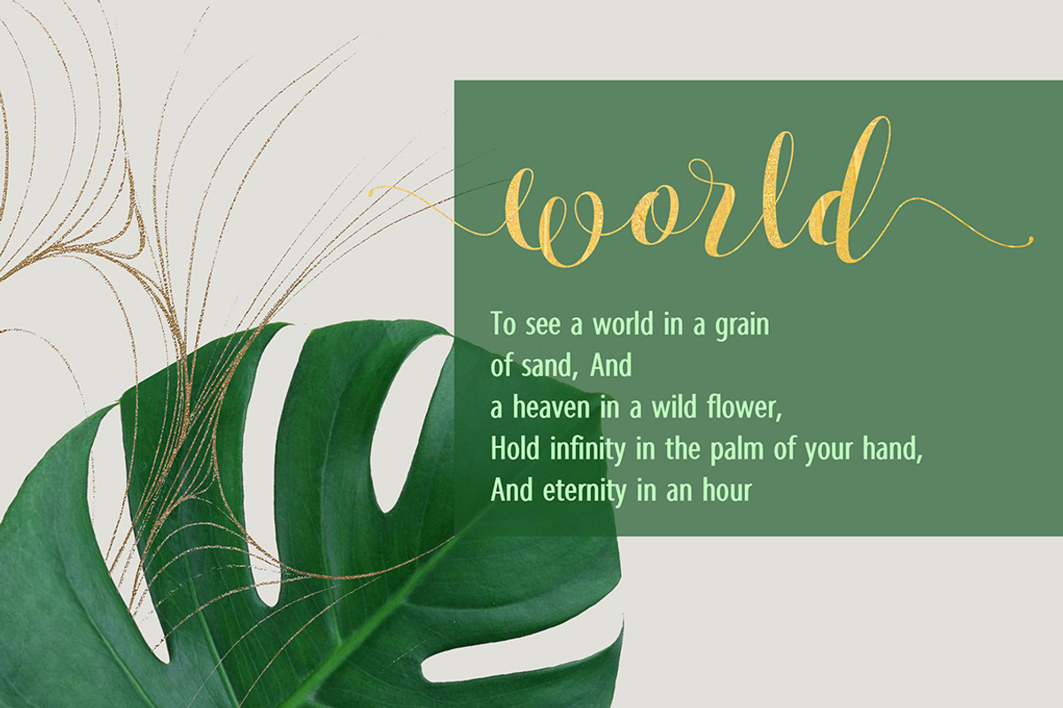 Carriescript Fonts Script+Extras+San preview 6