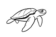 50 Sea Turtle Vector Silhouette Bund, an Illustration by jahid234 (Thumbnail 35 of 51)