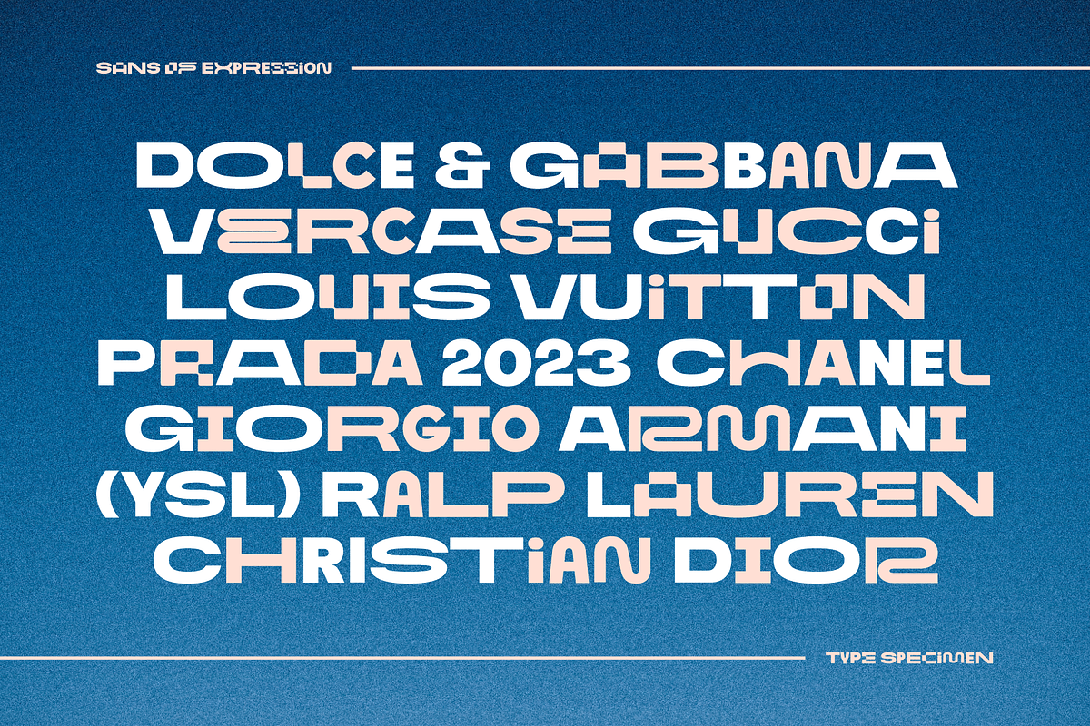 Sans of Expression, a Sans Serif Font by RedyStudio (Photo 3 of 13)