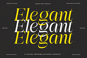 Awesome Gulgina Complete | 243 Fonts, a Serif Font by IM Studio (Thumbnail 9 of 15)
