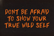 Brush Font. WILD Hand drawn Typeface, a Font by Mark Skitsky (Thumbnail 5 of 6)