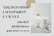 Billgest || Modern Classy Serif, a Serif Font by BrandSemut (Thumbnail 10 of 10)