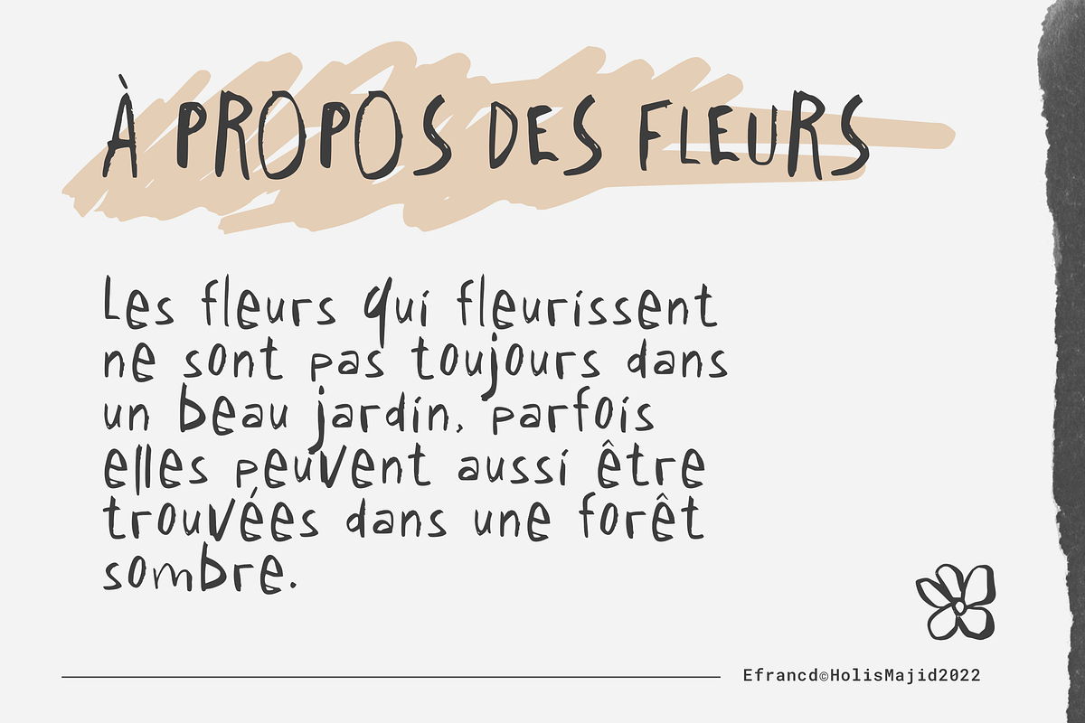 Efrancd Handwriting, a Sans Serif Font by 24Design Studios (Photo 2 of 7)