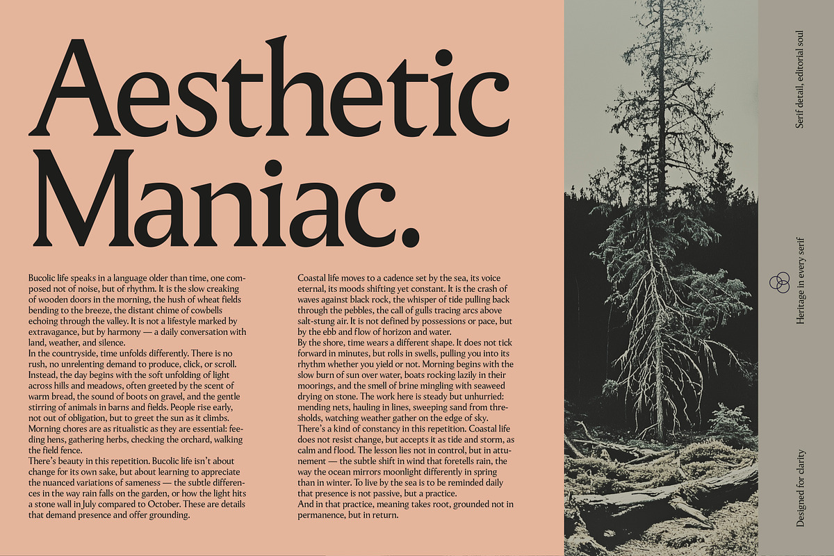 Pavilion Serif Typeface, a Serif Font by God Control (Photo 7 of 12)