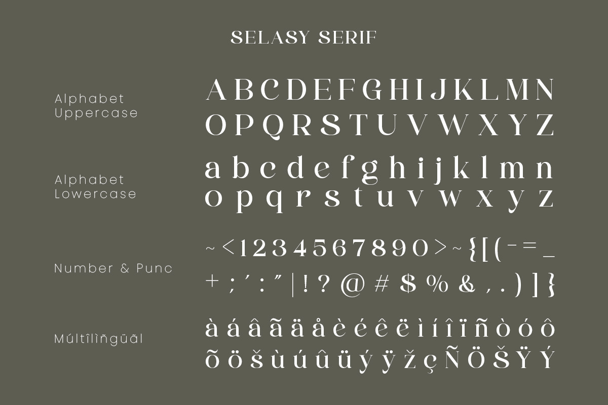 Selasy - New Modern Font, a Serif Font by roomspace creative lab (Photo 7 of 9)