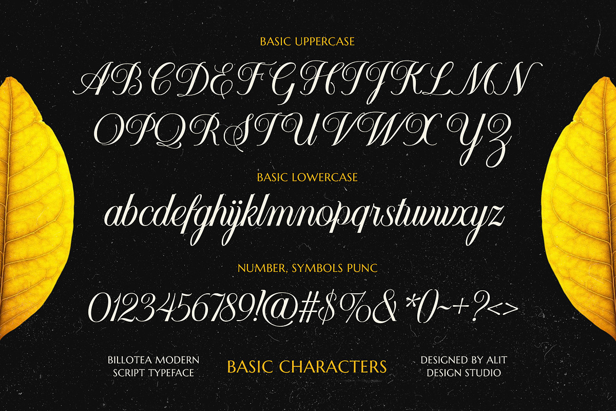 Billotea Typeface, a Script Font by alit design (Photo 3 of 20)