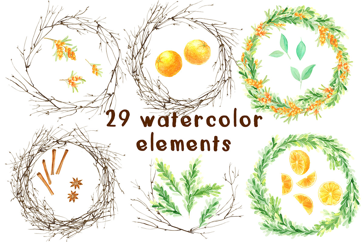 Watercolor Spicy Orange Set, a Decorative Illustration by WBS Design (Photo 3 of 5)