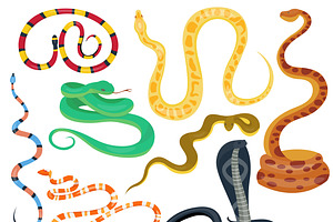 Snake character vector set, an Animal Illustration by RocketArt