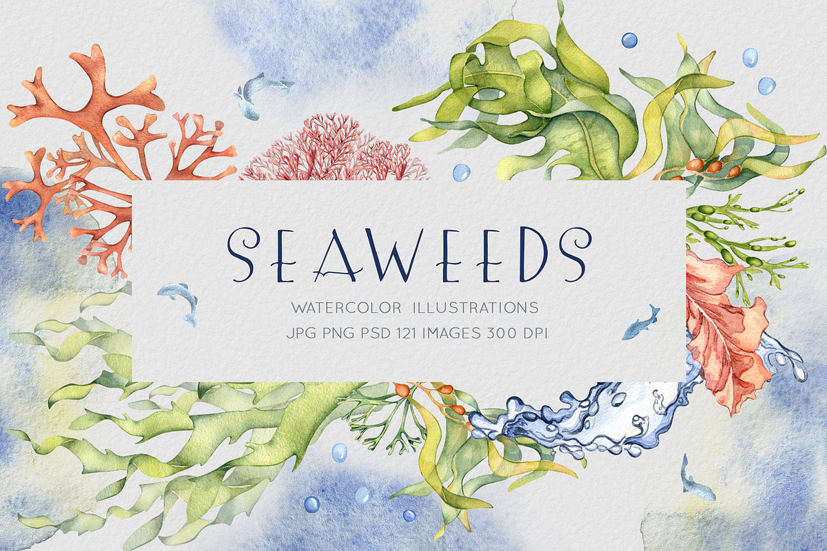 Sea plants watercolor collection, an Illustration by Kate Lanbina (Photo 1 of 18)