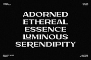 Kilned - Extended serif family, a Font by Eotype Studio (Thumbnail 2 of 11)