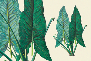 SALE! Botanical Heaven-Illustrations