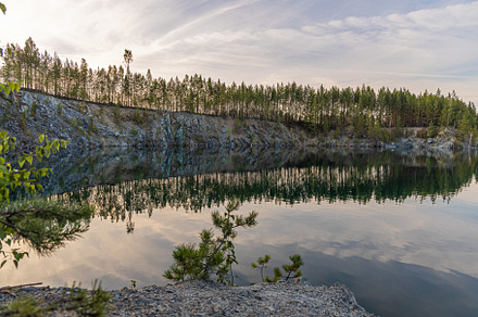 Group of small pines are by a lake w, a Nature Photo by Illustrations&photos
