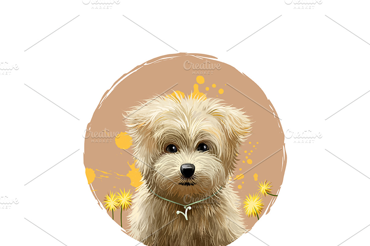Zodiac signs  - DOGS HOROSCOPE, an Icon by Dneprstock (Photo 3 of 4)