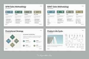 Sales Strategy Plan Presentation