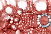 alcohol ink art., an Abstract Photo by zsofiapeto (Thumbnail 1 of 2)