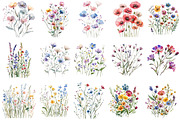 Watercolor Wildflower Clipart, an Illustration by OK Design (Thumbnail 3 of 6)