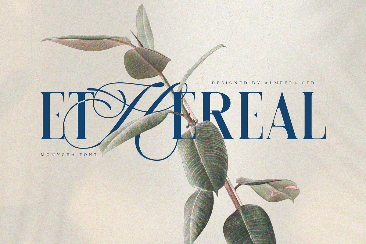 Monycha — Modern Serif Script, a Serif Font by Almeera Std (Photo 3 of 10)