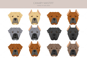 Canary Mastiff Clipart