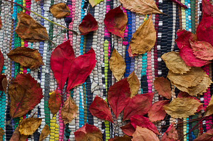 Autumn leaves on a handwoven rug stock photo containing leaves and plants, an Abstract Photo by oleghz