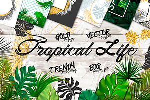 Tropical Life Vector PSD,PNG