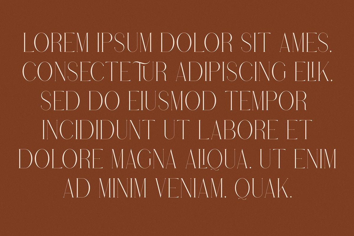 Stolen Love - Elegant serif typeface, a Serif Font by VP Fonts (Photo 31 of 34)