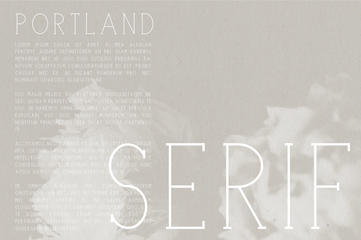 Portland Serif | A Multi-Weight Font preview 3