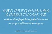 Latinese, a Handwritten Font by elevencreateam (Thumbnail 2 of 9)