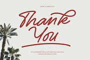 Betany Salena Monoline Brush Font, a Script Font by Letterena Studios Script (Thumbnail 15 of 15)