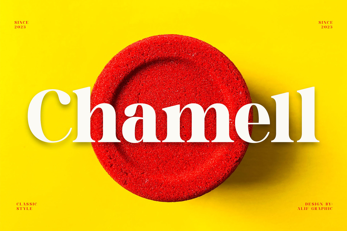 Chamell - Modern Serif Typeface, a Serif Font by Font Kingdom (Photo 1 of 9)