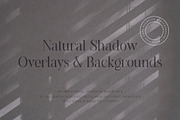 Natural Shadow Overlays & Background, a Texture Graphic by Feather & Sage Design (Thumbnail 1 of 9)