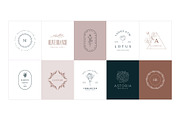 50 Botanical Floral Logos, a Branding & Logo Template by Graphicdome (Thumbnail 4 of 10)