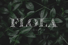 Flola Hand Drawn Font