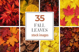Fall Leaves Background Bundle, a Background Photo by Selenique Studio