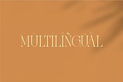 Zaslia - Elegant Ligature Serif, a Serif Font by suhadidesign (Thumbnail 12 of 14)