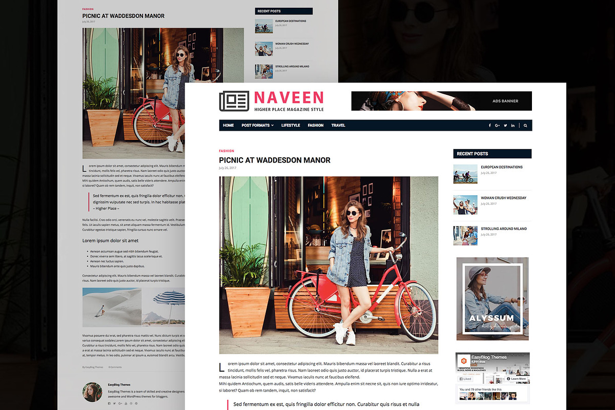 Naveen - Lifestyle WordPress Theme, a WordPress Template by EasyBlog Themes (Photo 4 of 4)